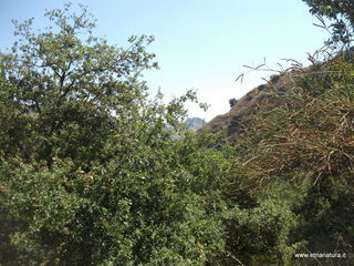 Torrente Caliero
